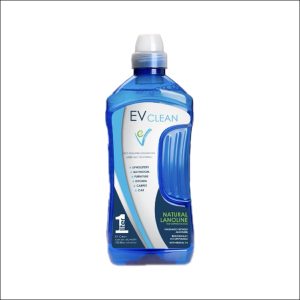 EV Clean